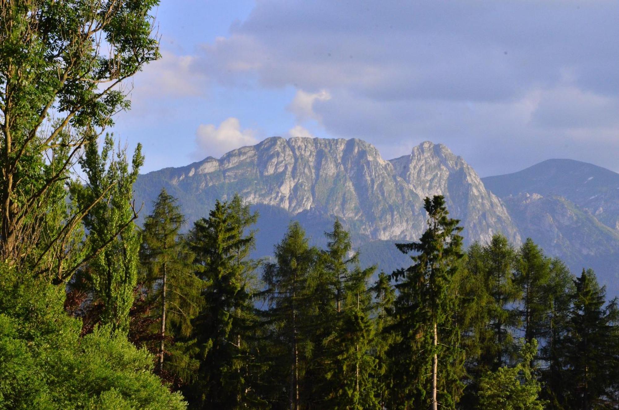 Chata Walczakow -Blue Cave Cottage Zakopane Buitenkant foto