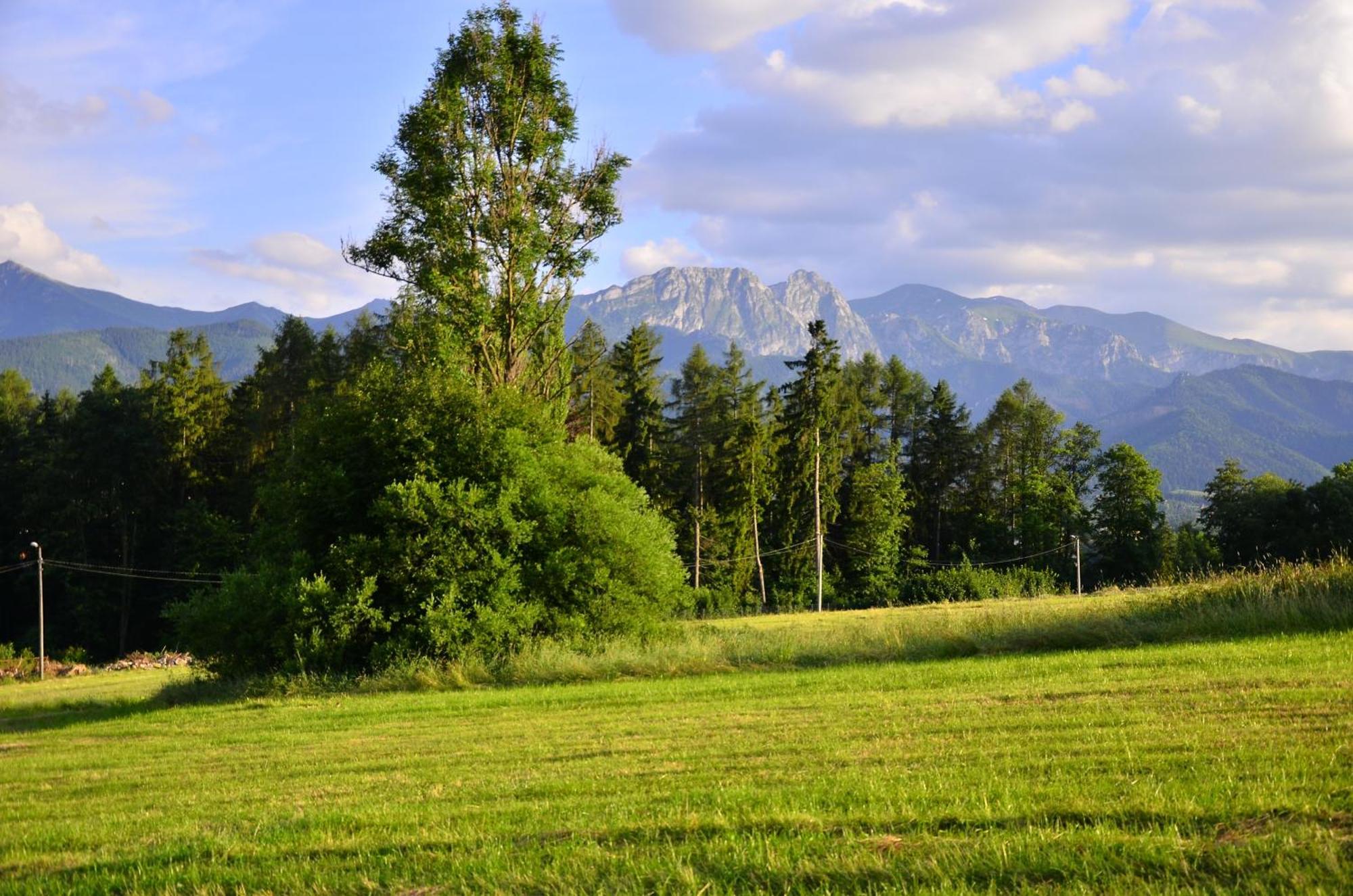 Chata Walczakow -Blue Cave Cottage Zakopane Buitenkant foto